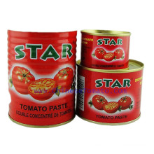 Star Brand Canned Tomato Paste- High Quality and Low Price